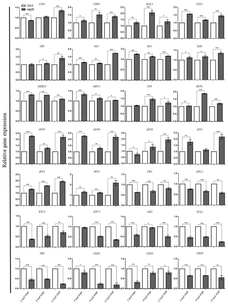 https://cdn.ncbi.nlm.nih.gov/pmc/blobs/20b8/10143075/dc794cb8a3fa/plants-12-01651-g004.jpg