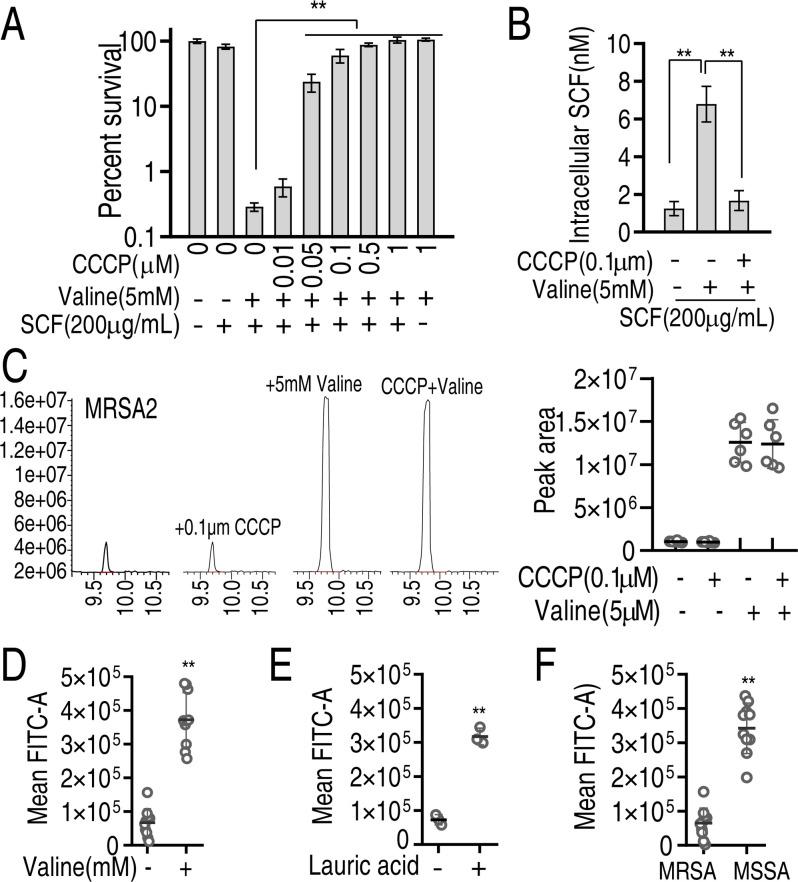 https://cdn.ncbi.nlm.nih.gov/pmc/blobs/20b9/11748551/c67b96a09097/msystems.01244-24.f007.jpg