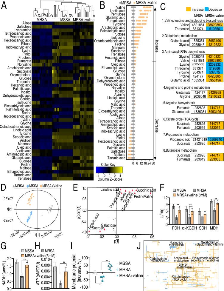 https://cdn.ncbi.nlm.nih.gov/pmc/blobs/20b9/11748551/eea71b79b8ce/msystems.01244-24.f005.jpg