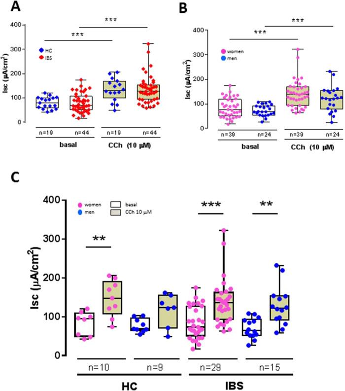 https://cdn.ncbi.nlm.nih.gov/pmc/blobs/20b9/11885305/8e26f2d9c452/fphys-16-1509935-g003.jpg