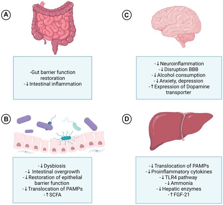 https://cdn.ncbi.nlm.nih.gov/pmc/blobs/20b9/8497569/30351036be6a/fphar-12-729950-g002.jpg