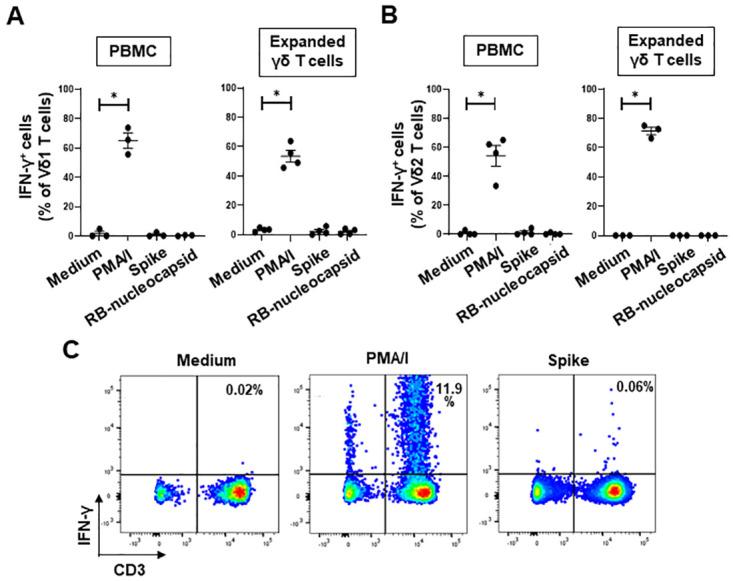 https://cdn.ncbi.nlm.nih.gov/pmc/blobs/20b9/9282473/1d8707f9986e/pone.0271463.g002.jpg