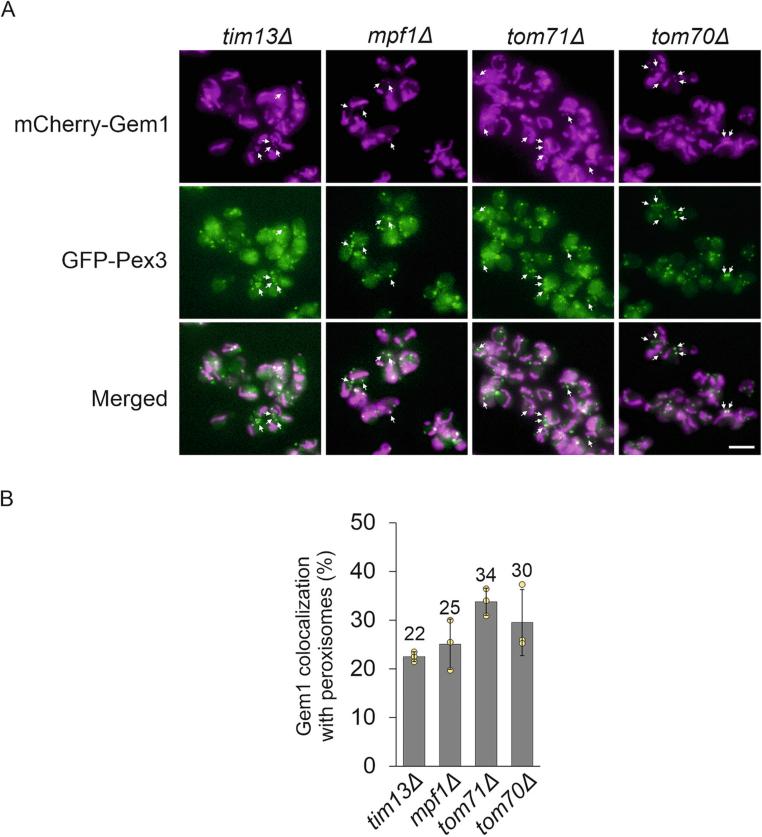 https://cdn.ncbi.nlm.nih.gov/pmc/blobs/20bb/12116889/f08e2a6082ed/44319_2025_440_Fig10_ESM.jpg