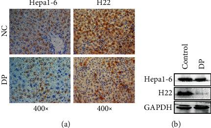 https://cdn.ncbi.nlm.nih.gov/pmc/blobs/20bb/7801049/693378c6b838/OMCL2021-7184760.004.jpg