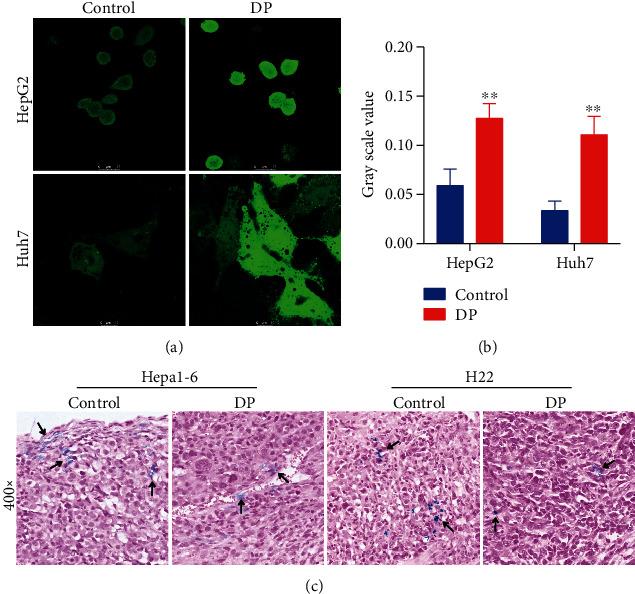 https://cdn.ncbi.nlm.nih.gov/pmc/blobs/20bb/7801049/72910c1cbdca/OMCL2021-7184760.001.jpg