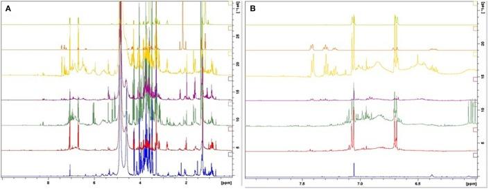 https://cdn.ncbi.nlm.nih.gov/pmc/blobs/20bc/5002433/278317106d52/fphar-07-00254-g0003.jpg