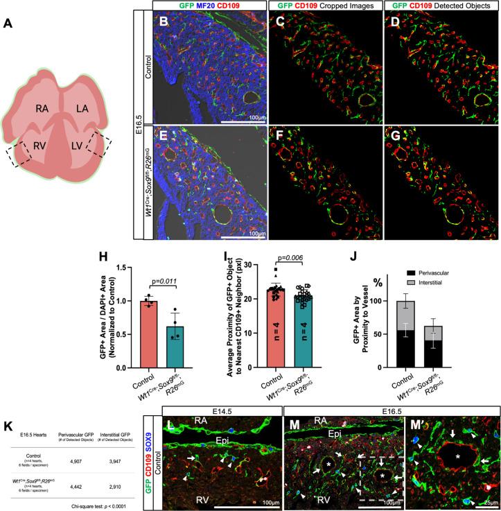 https://cdn.ncbi.nlm.nih.gov/pmc/blobs/20bd/12185001/846d36cacb4a/pone.0325852.g006.jpg