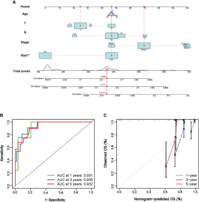 https://cdn.ncbi.nlm.nih.gov/pmc/blobs/20bd/9237245/1d7b74170c71/fimmu-13-904418-g005.jpg