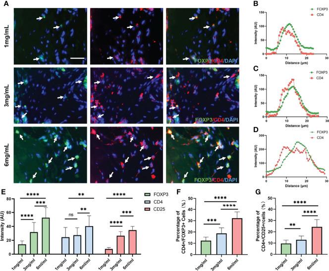 https://cdn.ncbi.nlm.nih.gov/pmc/blobs/20bd/9237245/2947c640b4b7/fimmu-13-904418-g008.jpg