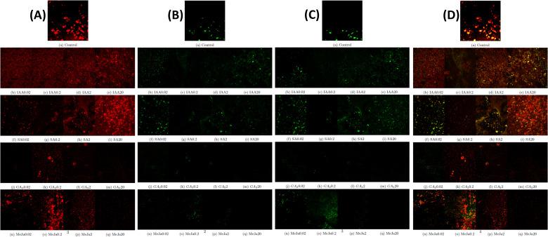 https://cdn.ncbi.nlm.nih.gov/pmc/blobs/20c0/11521944/eaca6fd2a185/fpls-15-1461610-g005.jpg