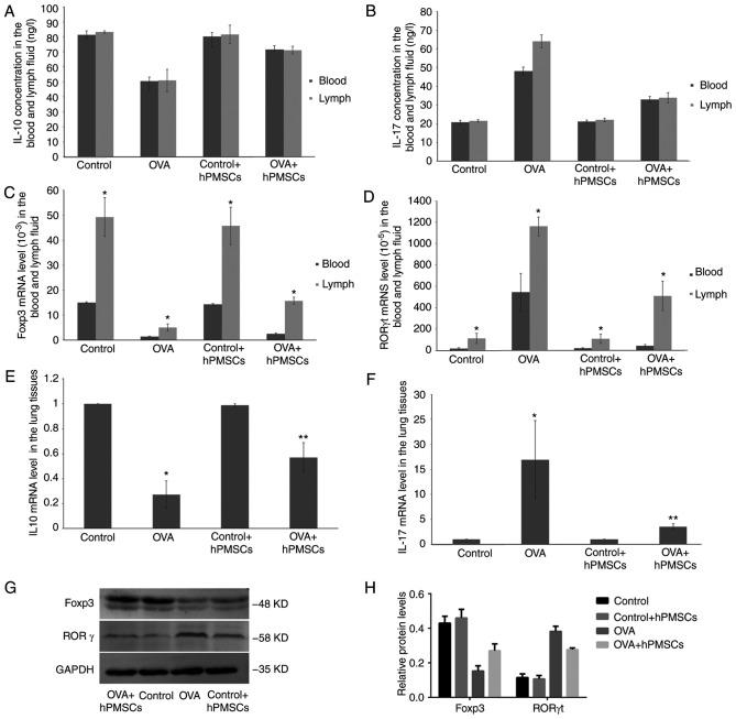 https://cdn.ncbi.nlm.nih.gov/pmc/blobs/20c0/5779899/1fc8d8ef108b/MMR-16-06-8137-g05.jpg