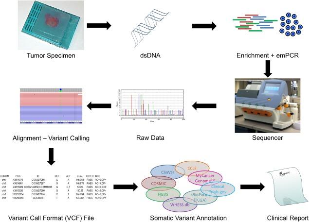 https://cdn.ncbi.nlm.nih.gov/pmc/blobs/20c2/4231254/4b4452d164c7/cncy0122-0730-f1.jpg