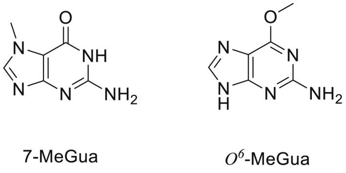 https://cdn.ncbi.nlm.nih.gov/pmc/blobs/20c3/10043641/3a0078bcf90b/EFS2-21-e07884-g024.jpg