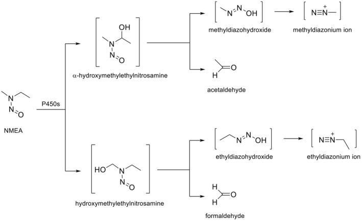 https://cdn.ncbi.nlm.nih.gov/pmc/blobs/20c3/10043641/40c8074b6e99/EFS2-21-e07884-g058.jpg