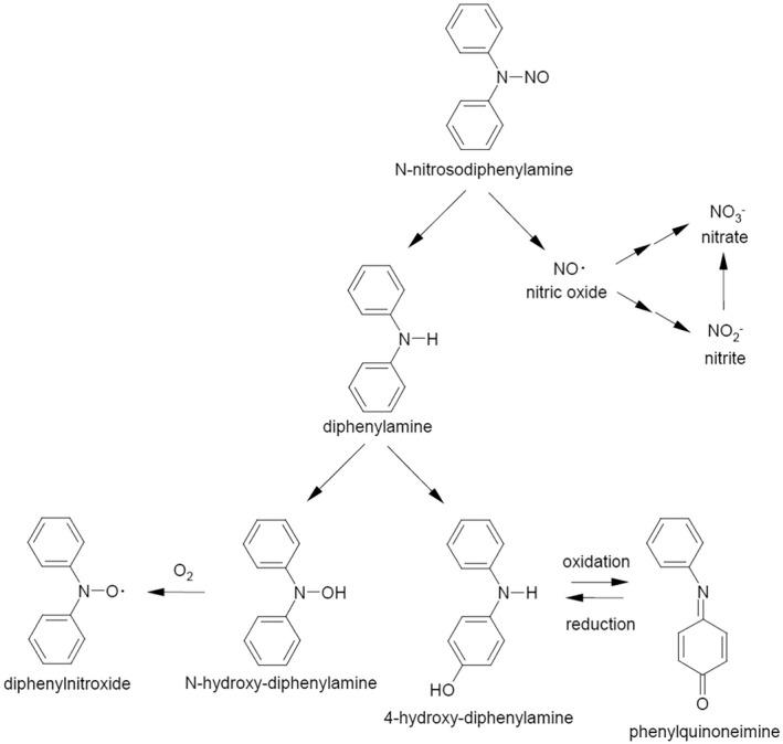 https://cdn.ncbi.nlm.nih.gov/pmc/blobs/20c3/10043641/aef577550297/EFS2-21-e07884-g028.jpg