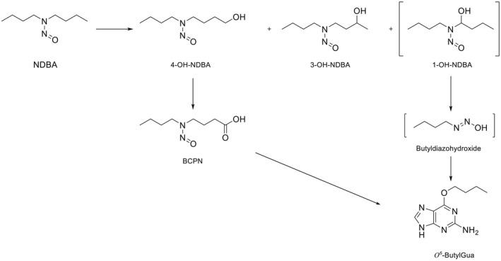 https://cdn.ncbi.nlm.nih.gov/pmc/blobs/20c3/10043641/cd8cd2b2ff01/EFS2-21-e07884-g042.jpg
