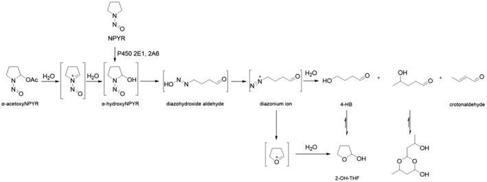 https://cdn.ncbi.nlm.nih.gov/pmc/blobs/20c3/10043641/eb876509f522/EFS2-21-e07884-g055.jpg