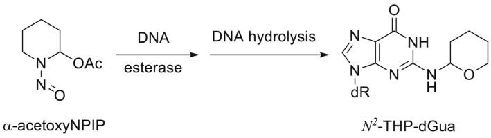 https://cdn.ncbi.nlm.nih.gov/pmc/blobs/20c3/10043641/f4356844faa7/EFS2-21-e07884-g039.jpg