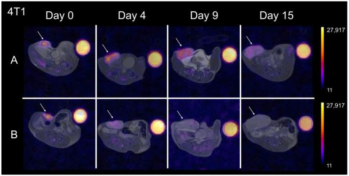 https://cdn.ncbi.nlm.nih.gov/pmc/blobs/20c4/10742077/80832f3912fb/cancers-15-05874-g004.jpg