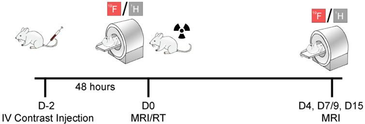 https://cdn.ncbi.nlm.nih.gov/pmc/blobs/20c4/10742077/893069e1b7d6/cancers-15-05874-g001.jpg