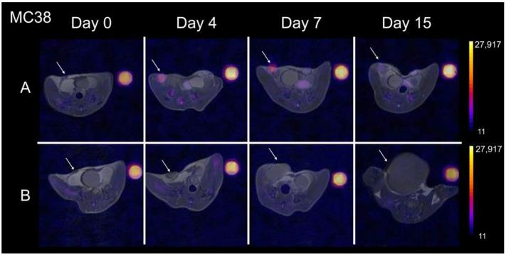 https://cdn.ncbi.nlm.nih.gov/pmc/blobs/20c4/10742077/f41844e0bf7a/cancers-15-05874-g002.jpg