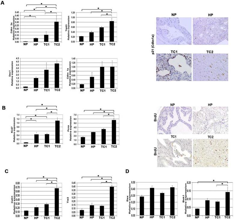 https://cdn.ncbi.nlm.nih.gov/pmc/blobs/20c9/4726760/836af565ffaf/pone.0147500.g005.jpg