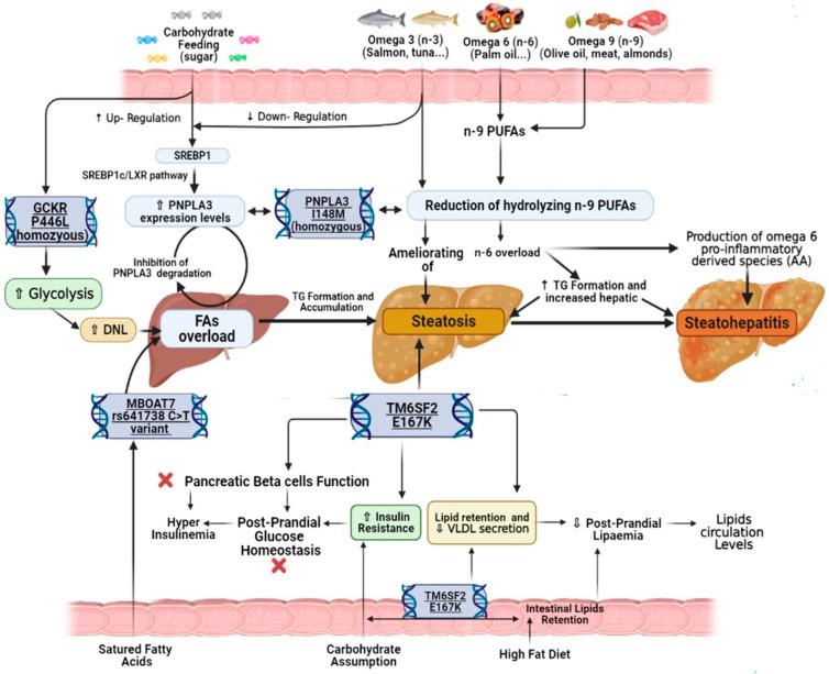 https://cdn.ncbi.nlm.nih.gov/pmc/blobs/20c9/8156164/ad40e200cd1f/nutrients-13-01679-g003.jpg