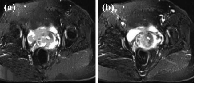 https://cdn.ncbi.nlm.nih.gov/pmc/blobs/20cb/11167709/444c7289e0f6/j_biol-2022-0733-fig007.jpg