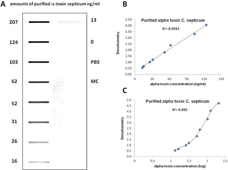 https://cdn.ncbi.nlm.nih.gov/pmc/blobs/20cb/5483040/b8bbbb858b88/peerj-05-3407-g004.jpg