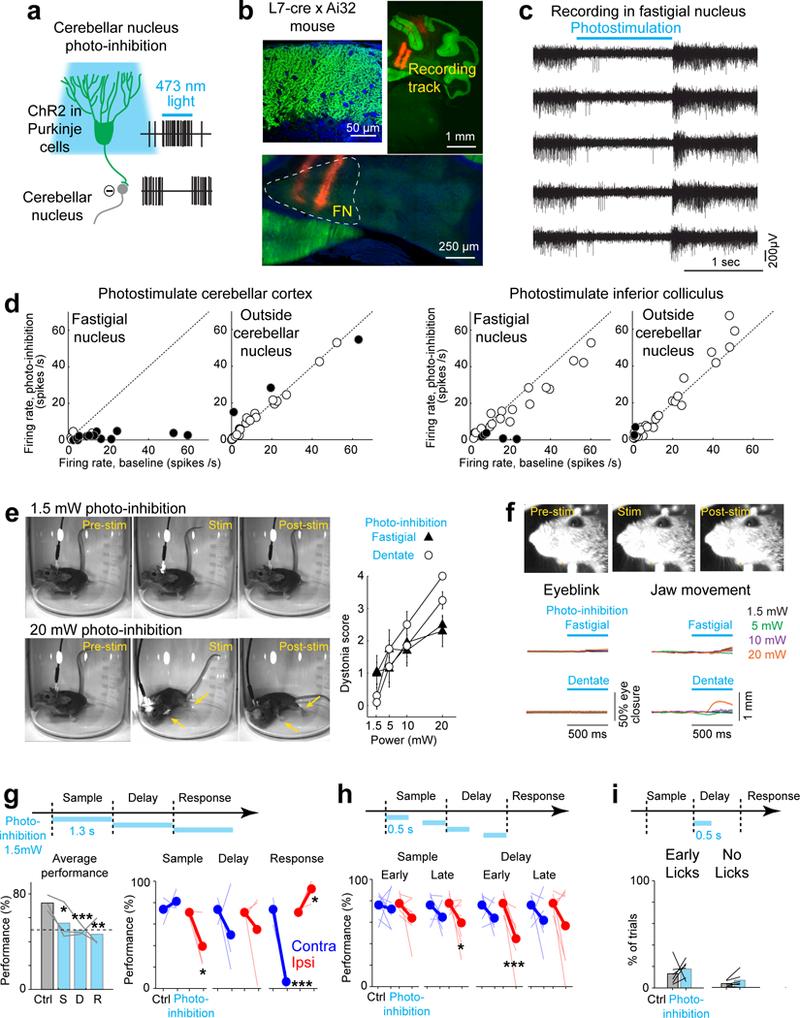 https://cdn.ncbi.nlm.nih.gov/pmc/blobs/20cb/6212318/3326d026e3c6/nihms-1504009-f0006.jpg