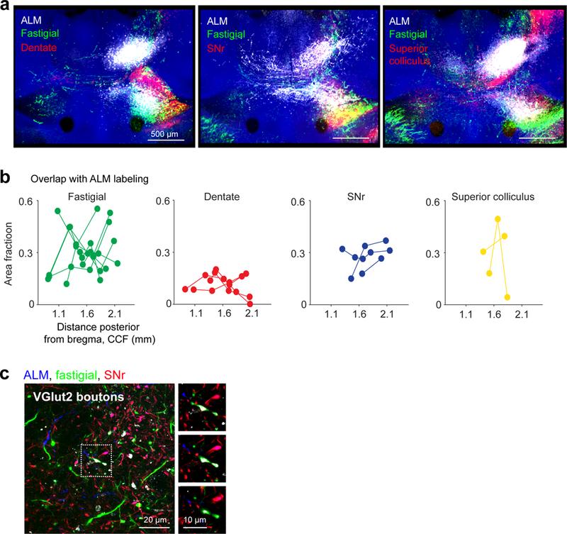 https://cdn.ncbi.nlm.nih.gov/pmc/blobs/20cb/6212318/7ce6fcdd1470/nihms-1504009-f0012.jpg
