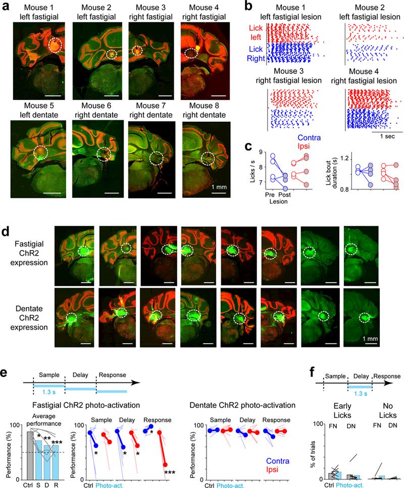 https://cdn.ncbi.nlm.nih.gov/pmc/blobs/20cb/6212318/90b68de5a197/nihms-1504009-f0005.jpg