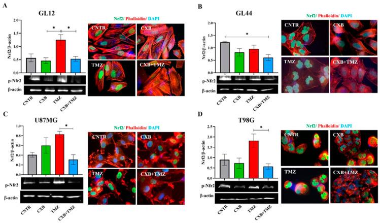 https://cdn.ncbi.nlm.nih.gov/pmc/blobs/20cc/12024373/b37595234d4f/antioxidants-14-00459-g002.jpg