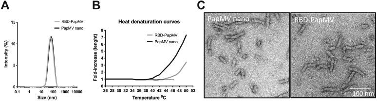 https://cdn.ncbi.nlm.nih.gov/pmc/blobs/20cc/9287509/39d7b2c6af7d/gr2_lrg.jpg