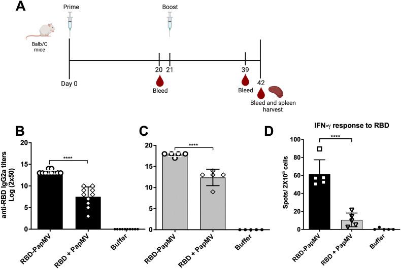 https://cdn.ncbi.nlm.nih.gov/pmc/blobs/20cc/9287509/644e8789839b/gr3_lrg.jpg