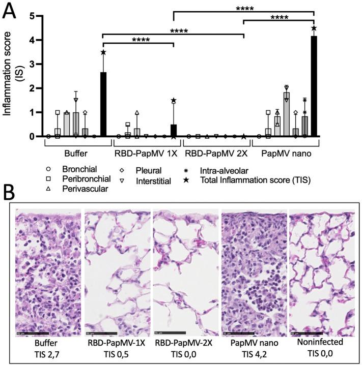 https://cdn.ncbi.nlm.nih.gov/pmc/blobs/20cc/9287509/64d4ec3b8075/gr6_lrg.jpg