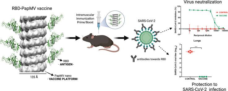 https://cdn.ncbi.nlm.nih.gov/pmc/blobs/20cc/9287509/a804eb8660c9/ga1_lrg.jpg