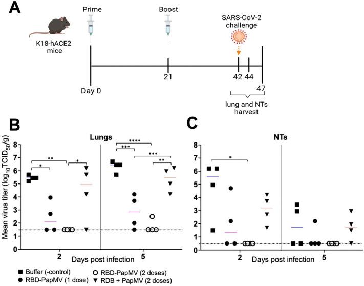 https://cdn.ncbi.nlm.nih.gov/pmc/blobs/20cc/9287509/ed98be454404/gr5_lrg.jpg