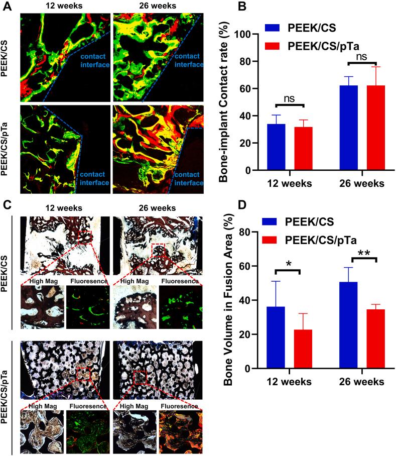 https://cdn.ncbi.nlm.nih.gov/pmc/blobs/20cc/9437743/ab47842254b6/gr4.jpg