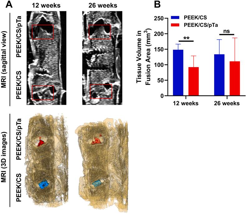 https://cdn.ncbi.nlm.nih.gov/pmc/blobs/20cc/9437743/e8b81aa25041/gr3.jpg