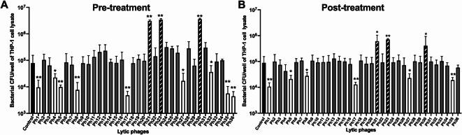 https://cdn.ncbi.nlm.nih.gov/pmc/blobs/20cd/12325590/144f437b3fc8/41598_2025_7320_Fig2_HTML.jpg
