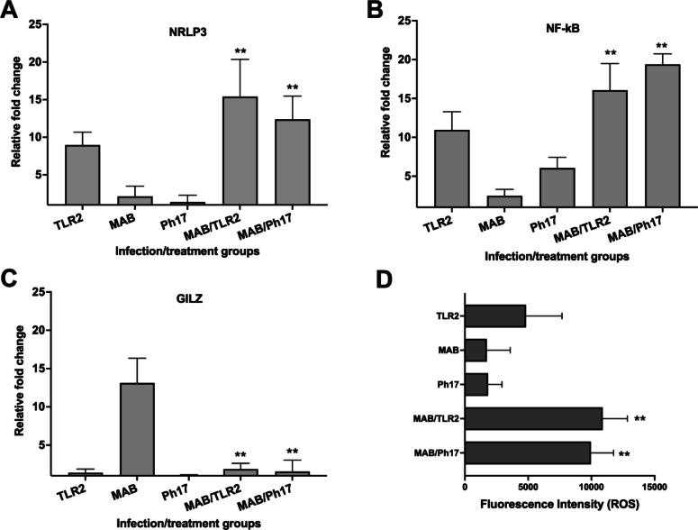 https://cdn.ncbi.nlm.nih.gov/pmc/blobs/20cd/12325590/882d0d6310cf/41598_2025_7320_Fig5_HTML.jpg