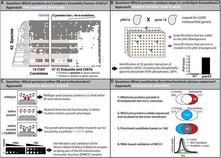 https://cdn.ncbi.nlm.nih.gov/pmc/blobs/20cd/3877752/d2521dfccdc5/2615fig2.jpg