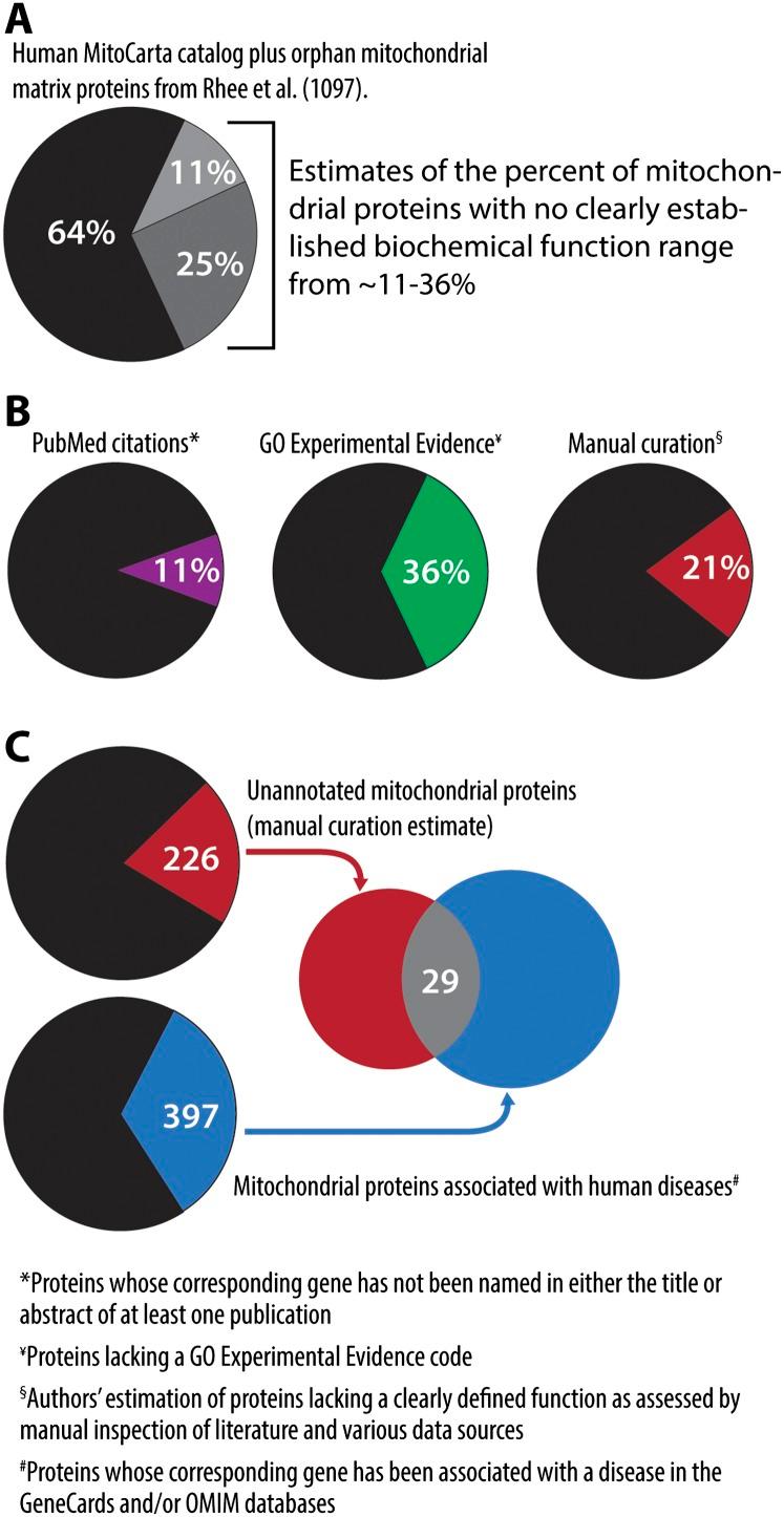 https://cdn.ncbi.nlm.nih.gov/pmc/blobs/20cd/3877752/d4ef33961e67/2615fig3.jpg