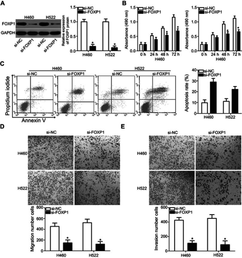 https://cdn.ncbi.nlm.nih.gov/pmc/blobs/20d2/6529030/7c3730773779/OTT-12-3765-g0004.jpg
