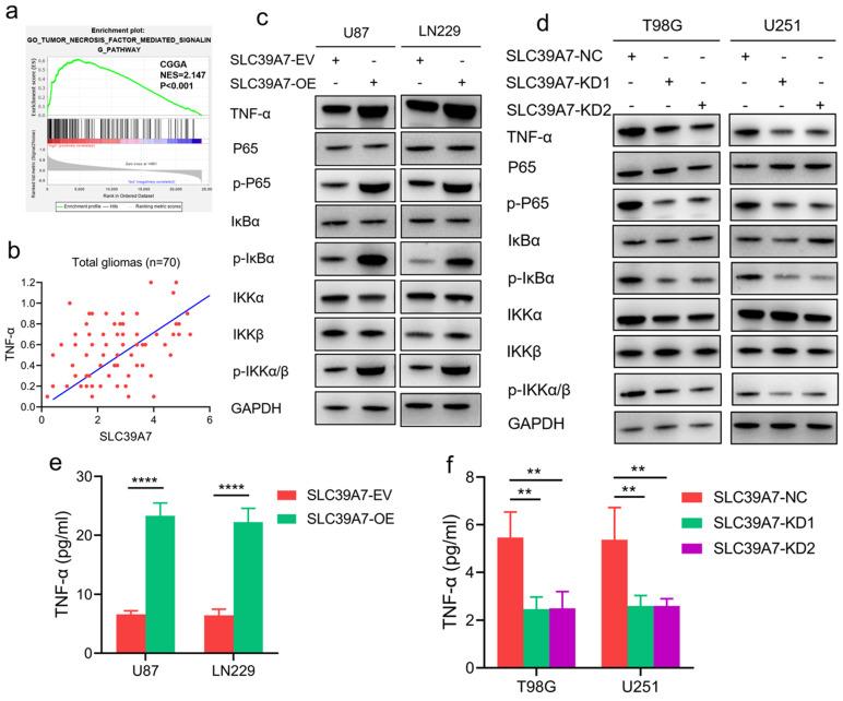 https://cdn.ncbi.nlm.nih.gov/pmc/blobs/20d3/8210565/45fe2de52c08/jcav12p4530g006.jpg