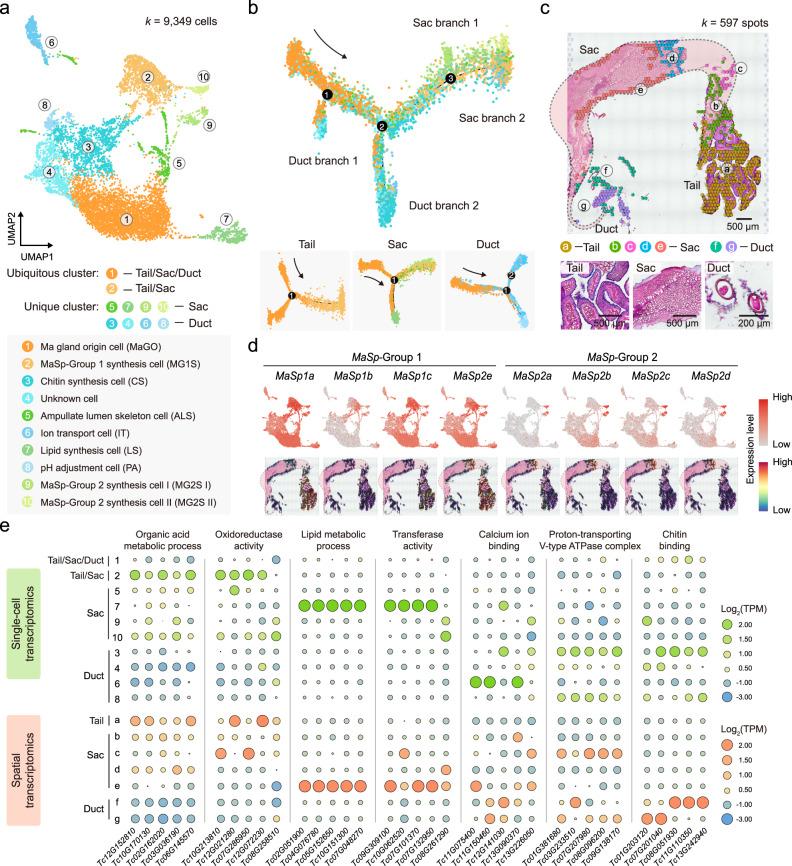 https://cdn.ncbi.nlm.nih.gov/pmc/blobs/20d5/9932165/4e85253ca26e/41467_2023_36545_Fig4_HTML.jpg