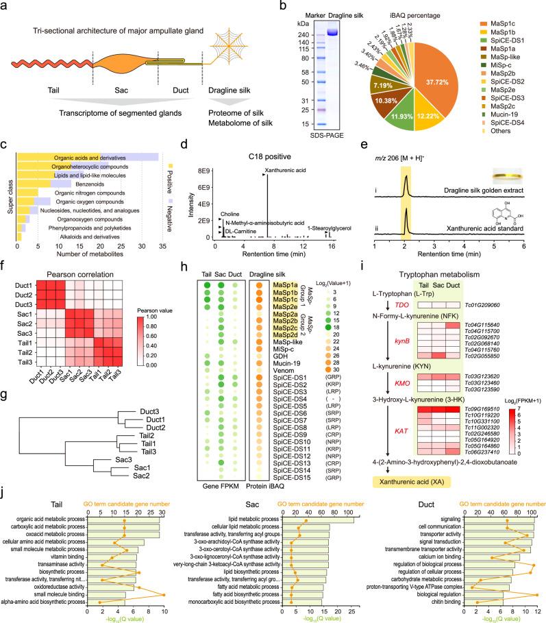 https://cdn.ncbi.nlm.nih.gov/pmc/blobs/20d5/9932165/54cbfa2427de/41467_2023_36545_Fig2_HTML.jpg