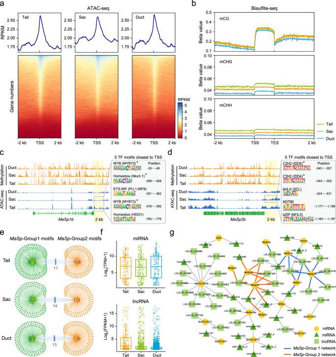 https://cdn.ncbi.nlm.nih.gov/pmc/blobs/20d5/9932165/d578cfd31034/41467_2023_36545_Fig3_HTML.jpg