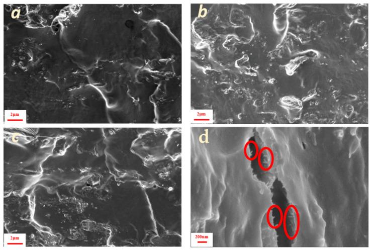 https://cdn.ncbi.nlm.nih.gov/pmc/blobs/20d6/12299579/05507168a503/polymers-17-01911-g003.jpg